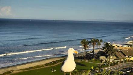 Del Mar Beach Overlook Roaming Live Webcam - Nov 19, 2025, 7:55am PST