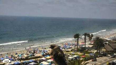 Del Mar Beach Overlook Roaming Live Webcam - Jul 4, 2026, 2:50pm PDT