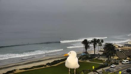 Del Mar Beach Overlook Roaming Live Webcam - Jan 21, 2026, 10:18am PST