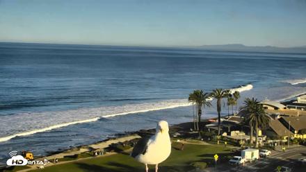 Del Mar Beach Overlook Roaming Live Webcam - Oct 15, 2026, 8:10am PDT