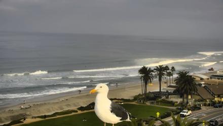 Del Mar Beach Overlook Roaming Live Webcam - Oct 31, 2025, 8:24am PDT