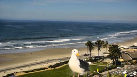 Del Mar Beach Overlook Roaming Live Webcam - Feb 26, 2026, 11:43am PST