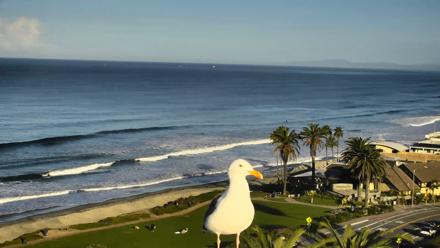 Del Mar Beach Overlook Roaming Live Webcam - Nov 19, 2025, 7:54am PST