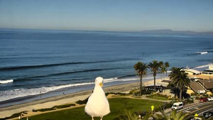 Del Mar Beach Overlook Roaming Live Webcam - Dec 5, 2025, 10:25am PST