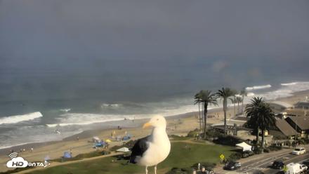 Del Mar Beach Overlook Roaming Live Webcam - Aug 29, 2026, 9:27am PDT