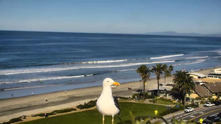 Del Mar Beach Overlook Roaming Live Webcam - Jan 10, 2026, 10:03am PST