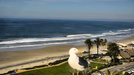 Del Mar Beach Overlook Roaming Live Webcam - Feb 26, 2026, 11:41am PST