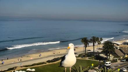 Del Mar Beach Overlook Roaming Live Webcam - Mar 20, 2026, 10:14am PDT