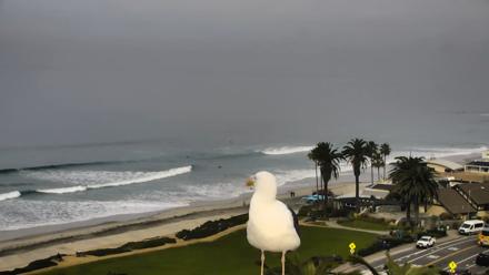 Del Mar Beach Overlook Roaming Live Webcam - Jan 21, 2026, 10:14am PST