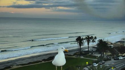 Del Mar Beach Overlook Roaming Live Webcam - Nov 20, 2025, 6:33am PST
