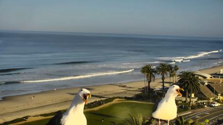 Del Mar Beach Overlook Roaming Live Webcam - Mar 11, 2026, 8:36am PDT