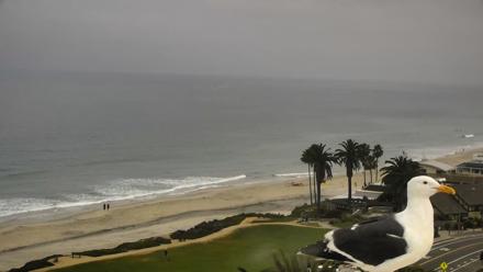 Del Mar Beach Overlook Roaming Live Webcam - Mar 30, 2026, 9:13am PDT