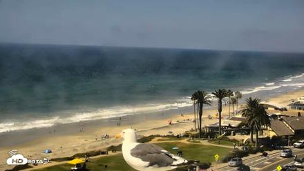 Del Mar Beach Overlook Roaming Live Webcam - Sep 22, 2026, 2:06pm PDT