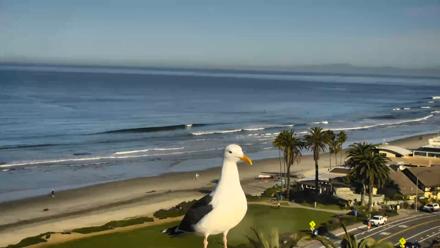 Del Mar Beach Overlook Roaming Live Webcam - Feb 25, 2026, 8:29am PST