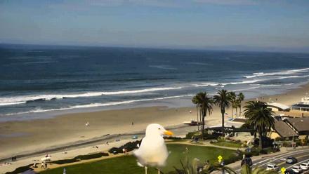 Del Mar Beach Overlook Roaming Live Webcam - Feb 26, 2026, 11:40am PST