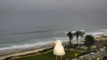 Del Mar Beach Overlook Roaming Live Webcam - Jan 21, 2026, 10:16am PST