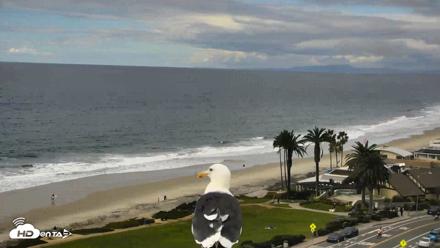 Del Mar Beach Overlook Roaming Live Webcam - Oct 23, 2026, 2:43pm PDT
