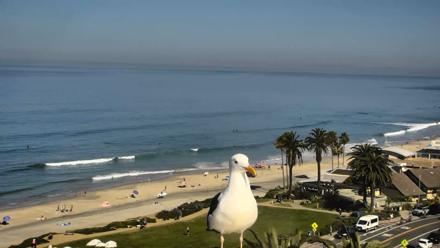 Del Mar Beach Overlook Roaming Live Webcam - Mar 20, 2026, 10:13am PDT