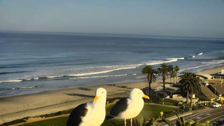 Del Mar Beach Overlook Roaming Live Webcam - Mar 11, 2026, 8:33am PDT