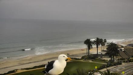 Del Mar Beach Overlook Roaming Live Webcam - Mar 30, 2026, 9:12am PDT