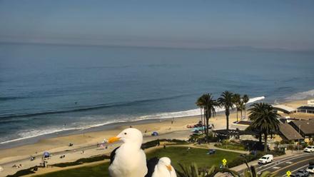Del Mar Beach Overlook Roaming Live Webcam - Mar 18, 2026, 11:16am PDT