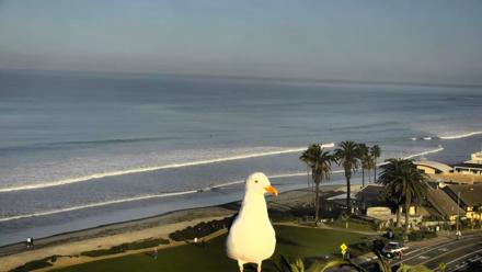Del Mar Beach Overlook Roaming Live Webcam - Feb 3, 2026, 8:12am PST