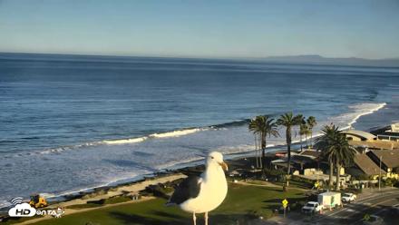Del Mar Beach Overlook Roaming Live Webcam - Oct 15, 2026, 8:12am PDT