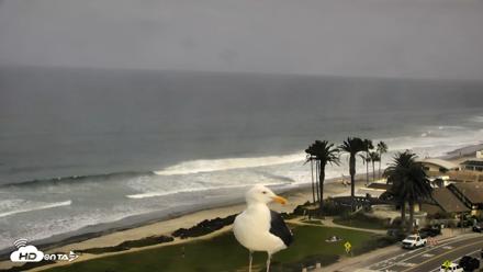 Del Mar Beach Overlook Roaming Live Webcam - Sep 15, 2026, 9:49am PDT