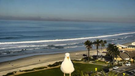 Del Mar Beach Overlook Roaming Live Webcam - Dec 12, 2025, 9:37am PST