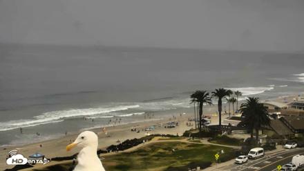 Del Mar Beach Overlook Roaming Live Webcam - Aug 4, 2026, 11:16am PDT
