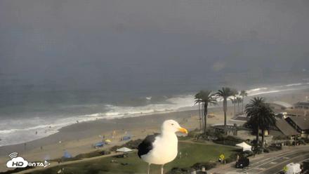 Del Mar Beach Overlook Roaming Live Webcam - Aug 29, 2026, 9:21am PDT