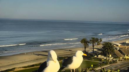 Del Mar Beach Overlook Roaming Live Webcam - Mar 11, 2026, 8:29am PDT