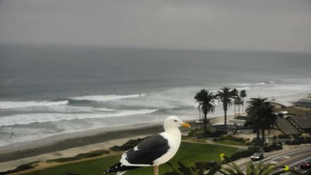 Del Mar Beach Overlook Roaming Live Webcam - Dec 23, 2025, 9:02am PST