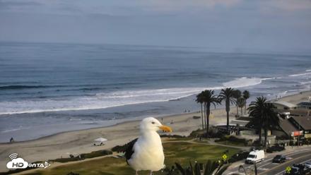 Del Mar Beach Overlook Roaming Live Webcam - Jun 8, 2026, 9:03am PDT