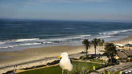 Del Mar Beach Overlook Roaming Live Webcam - Feb 26, 2026, 11:40am PST