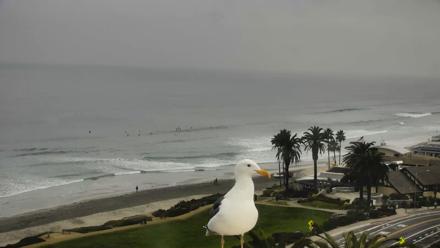 Del Mar Beach Overlook Roaming Live Webcam - Dec 23, 2025, 8:52am PST