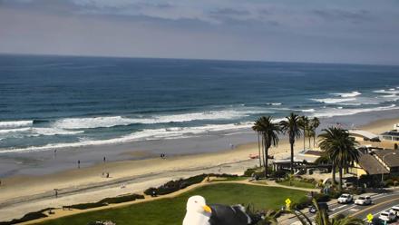 Del Mar Beach Overlook Roaming Live Webcam - Mar 4, 2026, 1:27pm PST