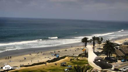Del Mar Beach Overlook Roaming Live Webcam - May 22, 2026, 1:17pm PDT