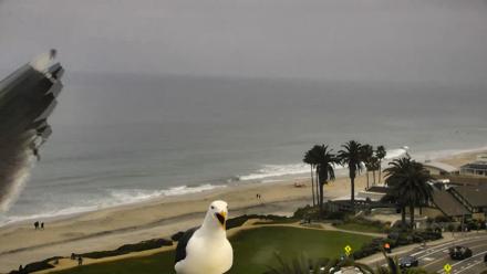 Del Mar Beach Overlook Roaming Live Webcam - Mar 30, 2026, 9:11am PDT