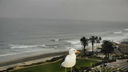 Del Mar Beach Overlook Roaming Live Webcam - Dec 23, 2025, 8:54am PST