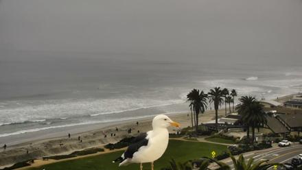Del Mar Beach Overlook Roaming Live Webcam - Nov 2, 2025, 8:16am PST