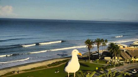 Del Mar Beach Overlook Roaming Live Webcam - Nov 19, 2025, 7:53am PST