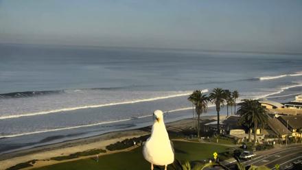 Del Mar Beach Overlook Roaming Live Webcam - Feb 3, 2026, 8:12am PST