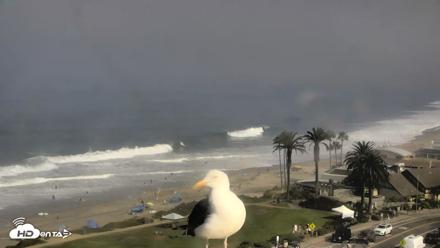 Del Mar Beach Overlook Roaming Live Webcam - Aug 29, 2026, 9:23am PDT