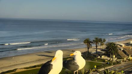 Del Mar Beach Overlook Roaming Live Webcam - Mar 11, 2026, 8:30am PDT