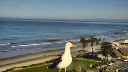 Del Mar Beach Overlook Roaming Live Webcam - Feb 25, 2026, 8:29am PST