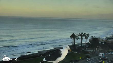 Del Mar Beach Overlook Roaming Live Webcam - Oct 21, 2026, 7:25am PDT