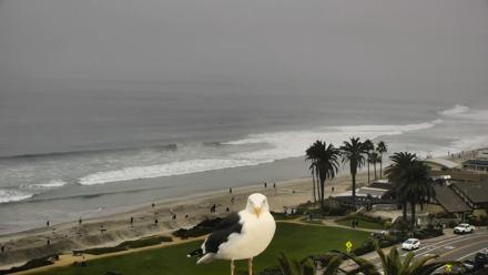 Del Mar Beach Overlook Roaming Live Webcam - Nov 2, 2025, 8:17am PST