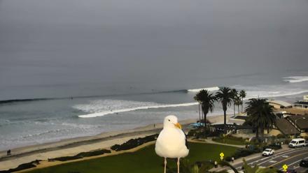 Del Mar Beach Overlook Roaming Live Webcam - Jan 21, 2026, 10:17am PST