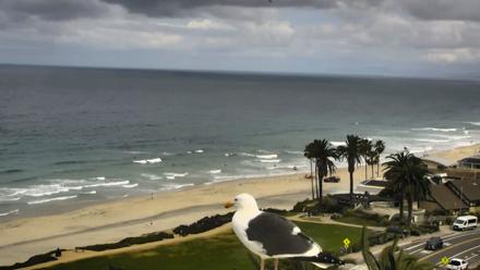 Del Mar Beach Overlook Roaming Live Webcam - Apr 2, 2026, 10:12am PDT